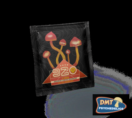 Room 920 Iced Tea – 1000mg Amazonian Cubensis