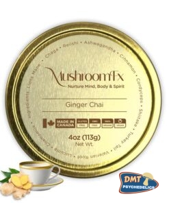 Ginger Tea – 7 Mushrooms – MushroomFx – 20 Servings