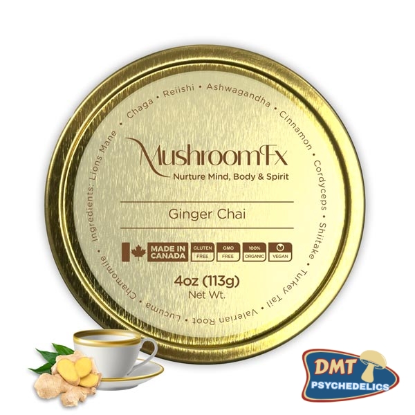Ginger Tea – 7 Mushrooms – MushroomFx – 20 Servings