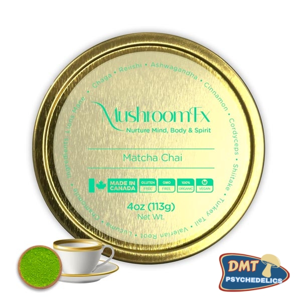 Matcha Tea – 7 Mushrooms – MushroomFx – 20 Servings