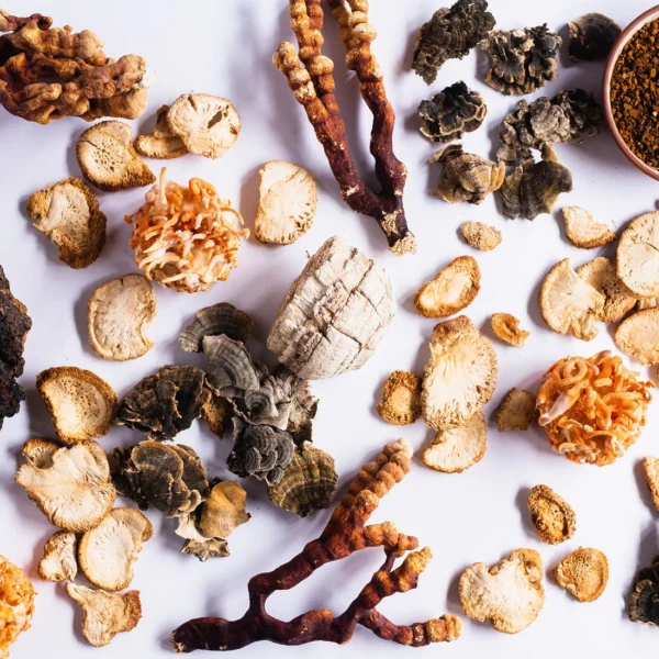 Stay Wyld Organics – Daily Immunity 5-Blend Powder (100g) - Image 2