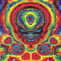 Buy LSD Jammin Skull