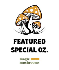 Featured Special ‘Oz’ Magic Mushrooms (28 grams)